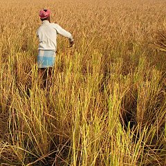 Công vụ các Sứ đồ - Chương 13-20 (Giọng miền Nam) - Acts 13-20